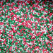 Christmas Non Pareils - Red, Green & White - 100gm - Cupcake Sweeties