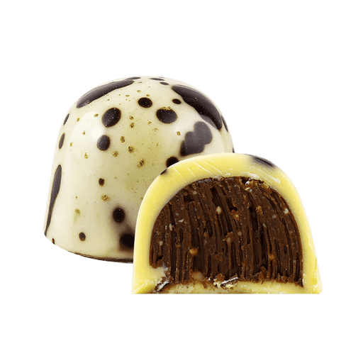 Gift Box of 6 Mixed Chocolates | Chocolate Brown - Cupcake Sweeties